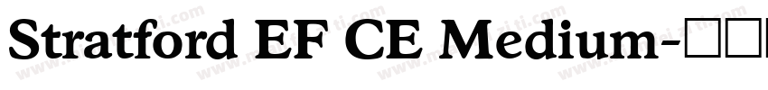 Stratford EF CE Medium字体转换